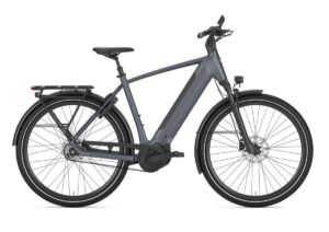 artPic public L 4556010